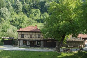 Хитър Петър