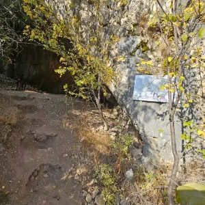 Пещерата с дървото/пещера Горен Билерник/