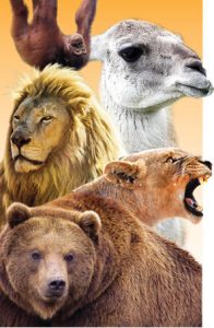 Зоопарк Ловеч