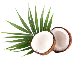 Дрогерия Ели