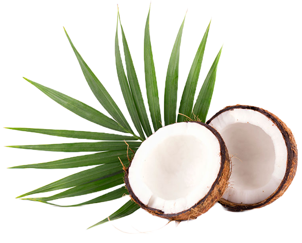 Дрогерия Ели