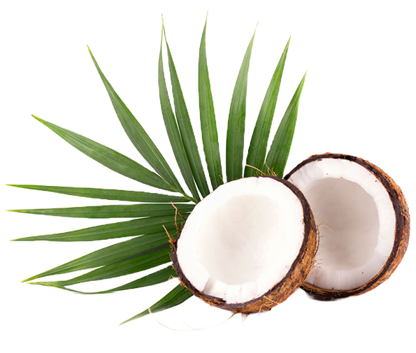 Дрогерия Ели