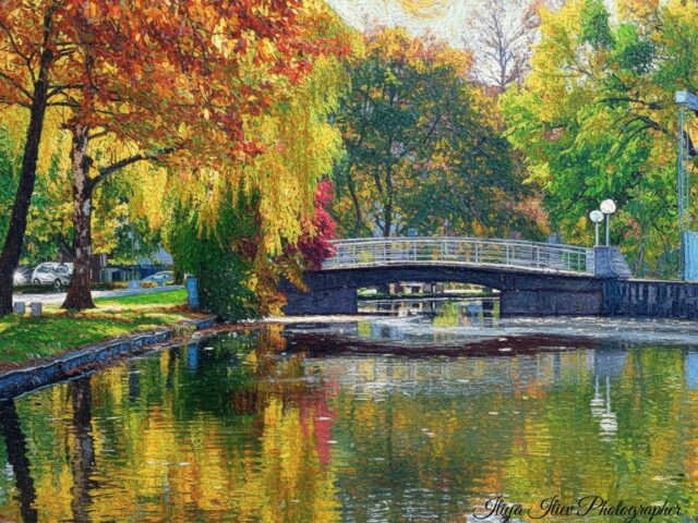 Пътешествие в Северозапада: Монтана, Видин и Плевен