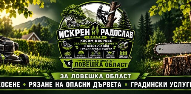 Услуги за дома