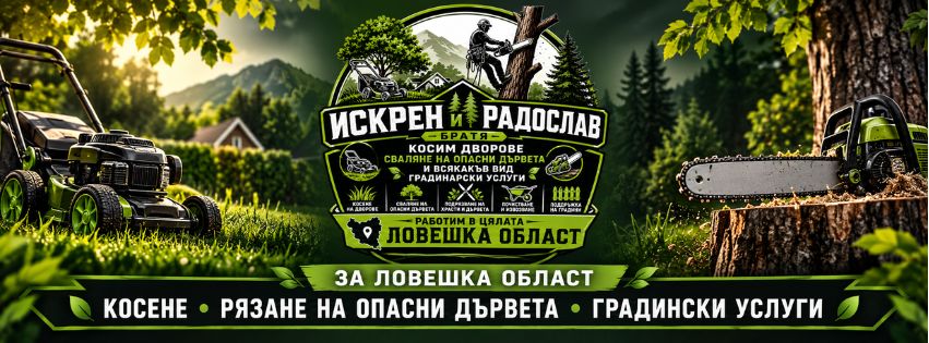 Услуги за дома